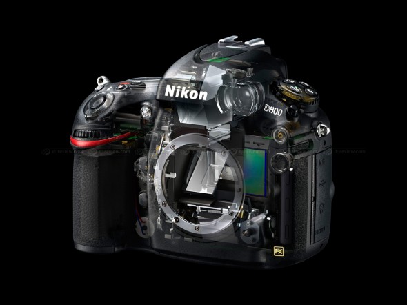 Nikon new d800