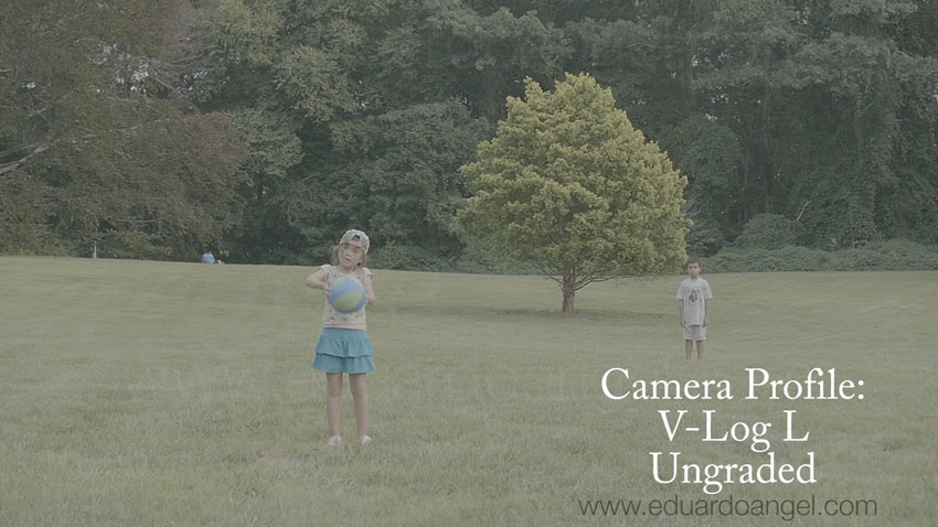 The Panasonic GH4 V-Log L. Graded and Ungraded Samples. - Eduardo