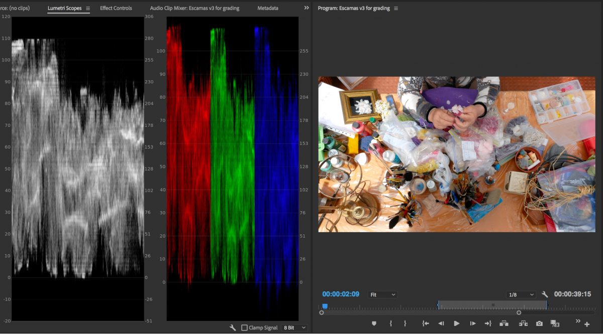 Histogram in premiere pro